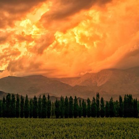 Alpasion Lodge Тунуян Екстер'єр фото